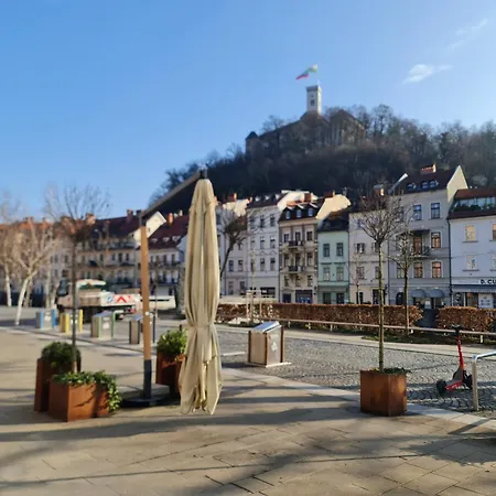 Mart's Choice リュブリャナ