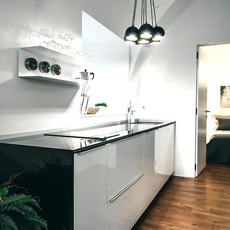 Mart's Choice 아파트 류블랴나